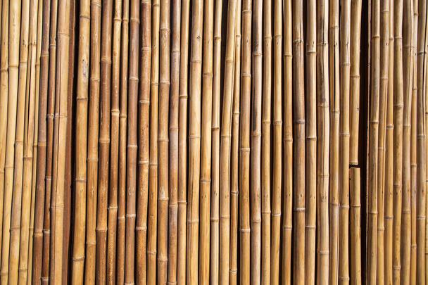 Recinzione di bambù sfondo
 - Foto, immagini