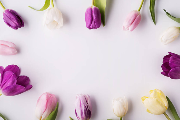 Various spring flowers on a white background. Copy space. - Foto, immagini
