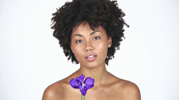 nude attractive african american girl holding blue orchid, touching face and shoulder with flower and smiling on white  - Video, Çekim