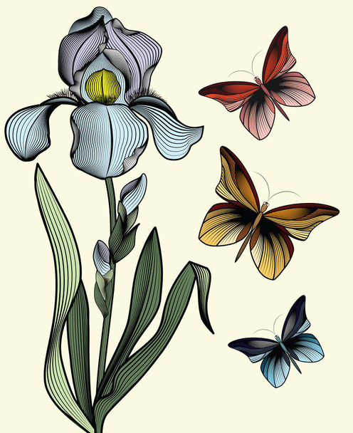  Ніжна ірис з трьома повітряними метеликами, лінія контурного ірису, ніжний ірис, наповнений штрихами
 - Вектор, зображення
