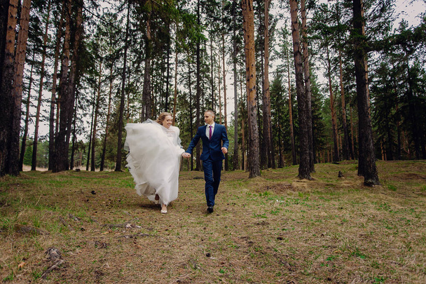 seclusion of the groom and bride - Фото, зображення