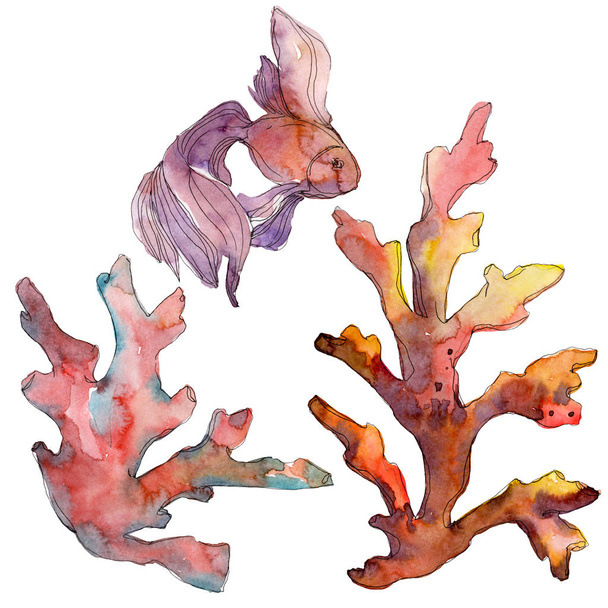 Piros és sárga víz alatti vízi természet korallzátony. Akvarell háttér beállítása. Elszigetelt korall ábra elem. - Fotó, kép
