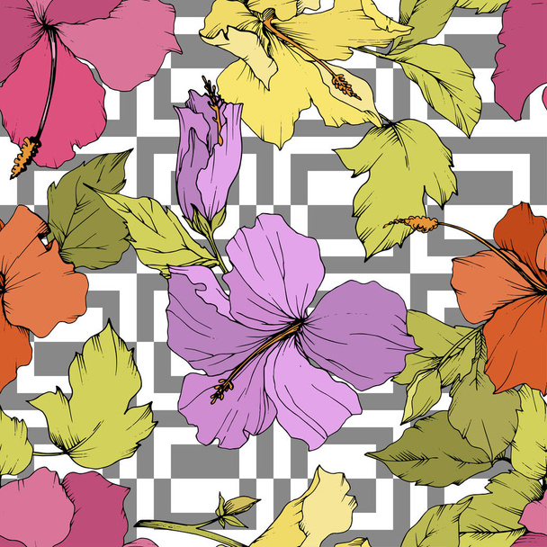 Vector Hibiscus flor botánica floral. Arte de tinta grabada. Patrón de fondo sin costuras. Textura de impresión de papel pintado de tela
. - Vector, imagen