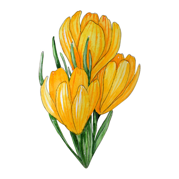 Acuarela pintada a mano conjunto de flores de primavera
. - Foto, Imagen
