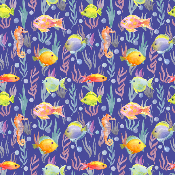 vícebarevné zvířata oceánu akvarel ilustrací. ryby, mořský koník a mořské řasy. ručně malované vzorem na modrém pozadí - Fotografie, Obrázek