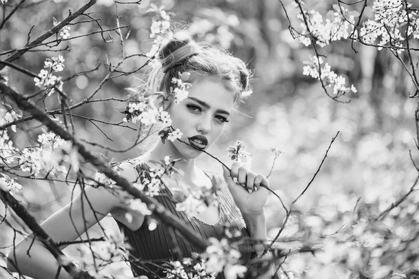Pretty girl in blossom - Foto, Imagen