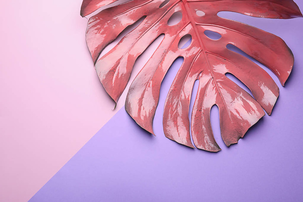 Pink monstera leaf on color background - Фото, изображение