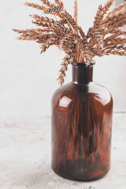 brown glass vase with ears on a gray shabby background - Foto, afbeelding