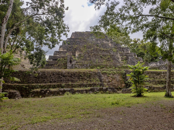 Park Narodowy Yaxha Nakum Naranjo, Majów archeologiczne zabytek, Gwatemala - Zdjęcie, obraz