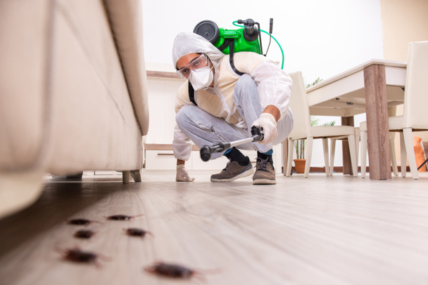 Zhotovitel ochrany proti škůdcům pracující v bytě  - Fotografie, Obrázek