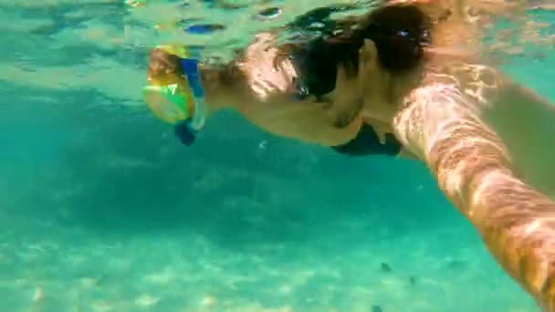 4 k onderwater schot van een schattige kleine jongen en zijn vader snorkelen met een maskers en buizen in een tropische zee met veel tropische vissen die hen omringen - Video