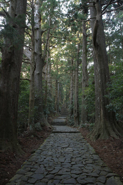 Daimon pendiente de Kumano Kodo rutas de peregrinación en Wakayama, Japón
 - Foto, imagen