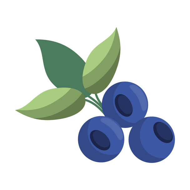 blueberries fruit fresh food - Вектор, зображення