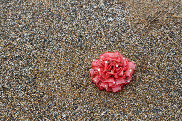Ecologia: descobertas de praia - bandas de cabelo elásticas
 - Foto, Imagem