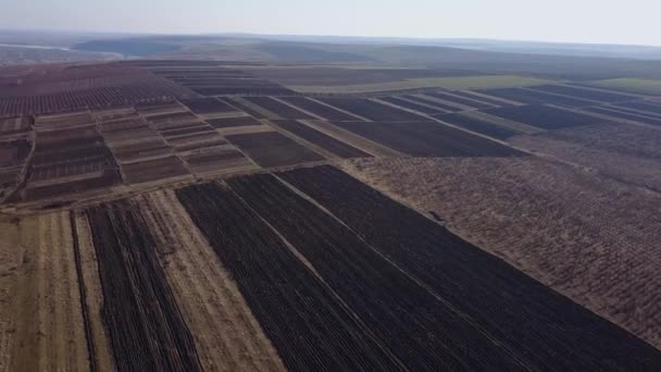 Bird Eye View of the Fields and Agricultural Parcel. Aerial Views. - Footage, Video