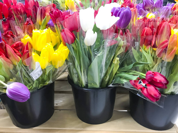 Букеты красивых разноцветных тюльпанов для отдыха, продажи
. - Фото, изображение