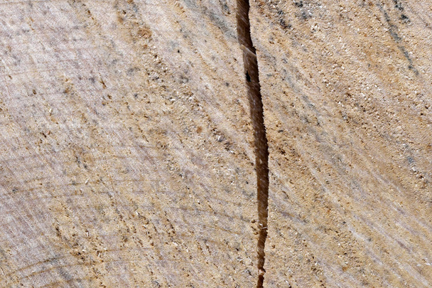 Wooden textural background - Foto, immagini