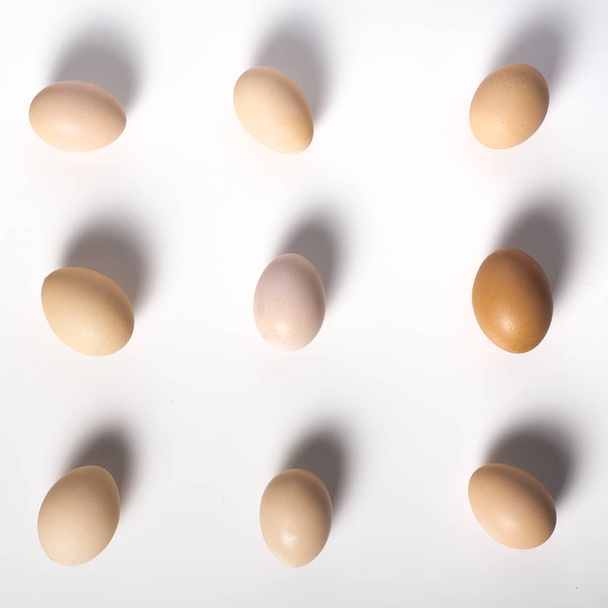 Huevos marrones sobre un fondo blanco alineado en fila
 - Foto, imagen