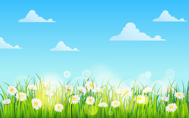 Frühlingsblumen von Gänseblümchen, Kamille und grünem saftigen Gras, Wiese, blauer Himmel, weiße Wolken. Vektor, Illustration, isoliert, Vorlage, Banner, Flyer - Vektor, Bild