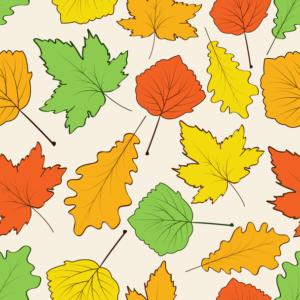 Autumn leaves seamless background. - Vektori, kuva