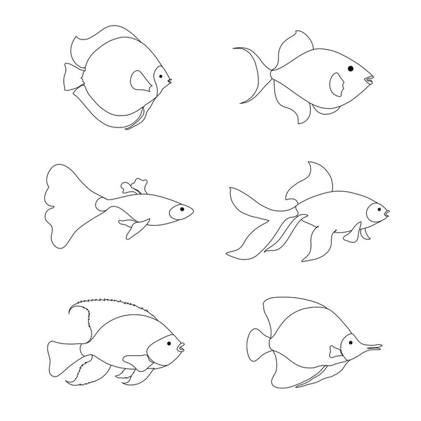 Set of fish sketch. Line monochrome design stock vector illustration for web, for print - ベクター画像