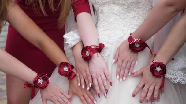 hermosas manos de la novia y las damas de honor. Fiesta de bodas. las manos de las niñas están decoradas con flores rojas. chicas de moda
 - Imágenes, Vídeo
