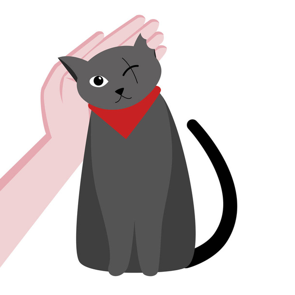 One-Eyed Cute Cat is uitgeschakeld. Zorg voor een kat. Hand streelde een kat. Vector platte cartoon illustratie. Op een witte achtergrond - Vector, afbeelding