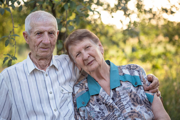portrait of grandparents  - Fotografie, Obrázek