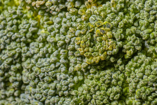 Light green broccoli macro - Foto, Imagem