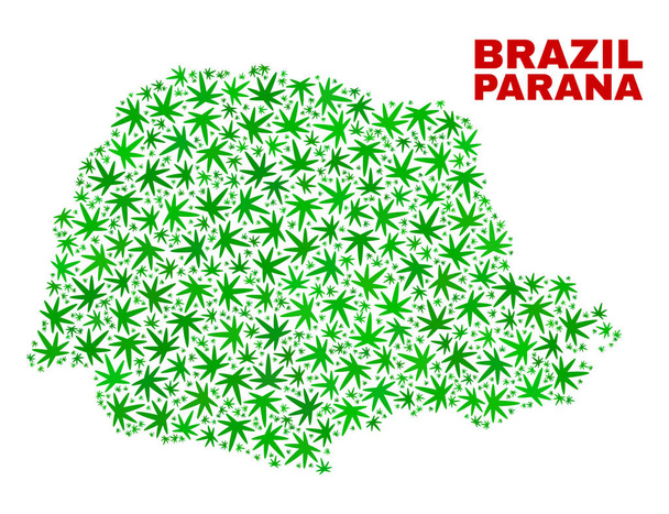 Hemp Leaves Collage Parana State Map - Vektori, kuva