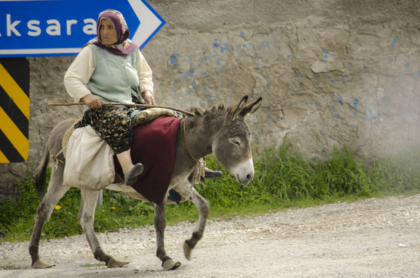 Woman on the donkey - Foto, afbeelding