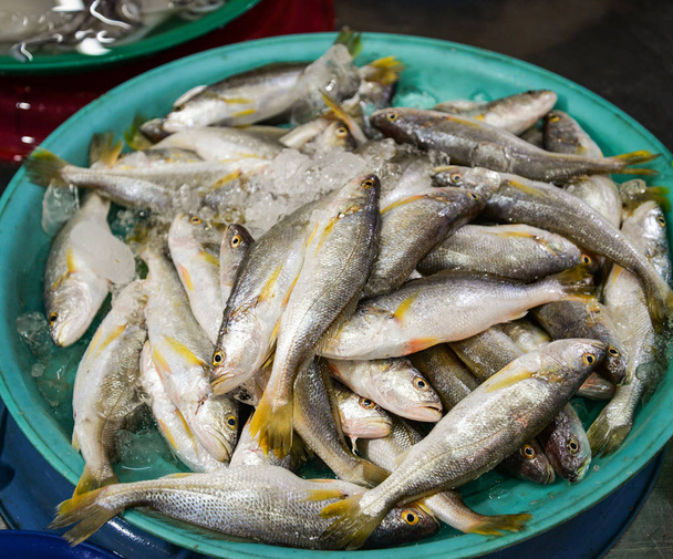 Świeże ryby w wiadro lodu na sprzedaż na rynku owoce / morze fi - Zdjęcie, obraz