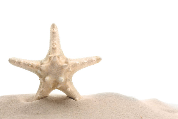 Rakás tengeri csillaggal elszigetelt fehér homok - Fotó, kép