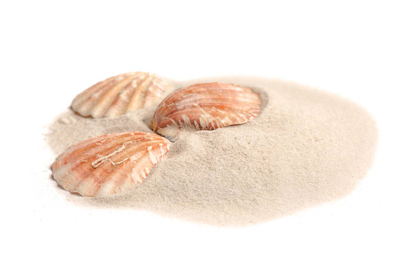 Pile of beach sand with sea shells isolated on white - Photo, Image