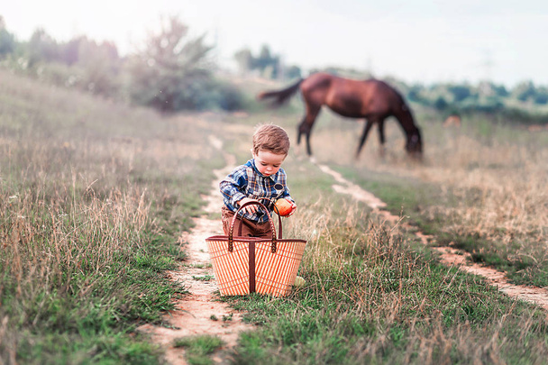 Little boy with a basket of apples and a horse in the background - Photo, Image