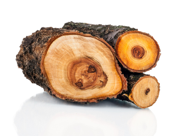 La pila di legna di fuoco di tronchi di taglio da albero. Risorse rinnovabili di una e
 - Foto, immagini