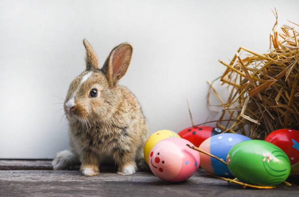 Velikonoční zajíček a velikonoční vejce na šedém pozadí  - Fotografie, Obrázek