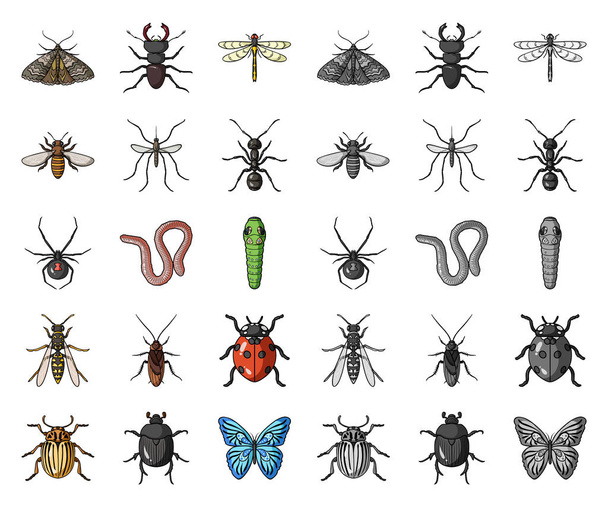 Different kinds of insects cartoon,mono icons in set collection for design. Insect arthropod vector symbol stock web illustration. - Vecteur, image