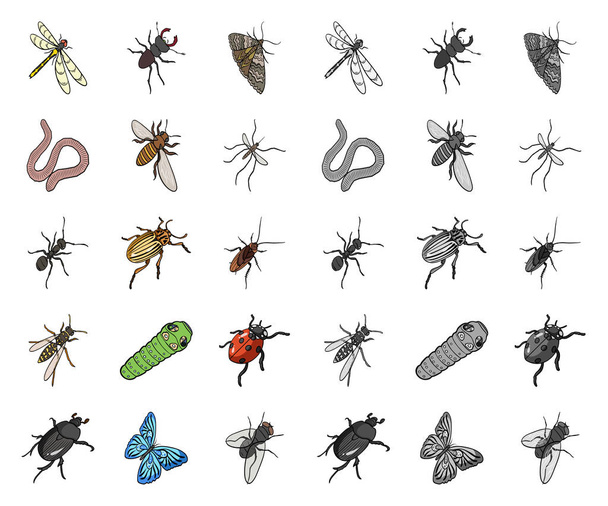 Different kinds of insects cartoon,mono icons in set collection for design. Insect arthropod vector isometric symbol stock web illustration. - Vektor, kép