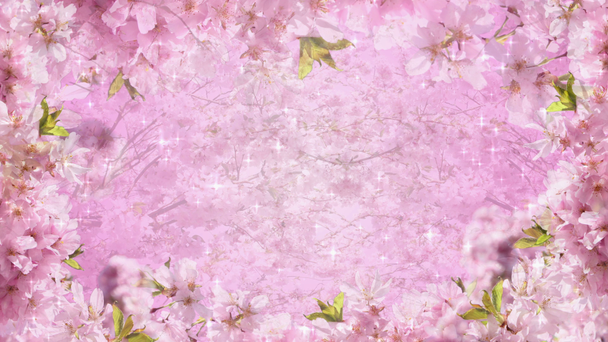 jarní květy - Záběry, video
