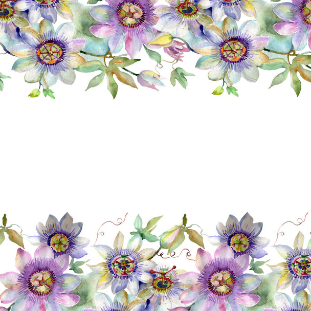 Blue violet bouquet floral botanical flowers. Watercolor background illustration set. Frame border ornament square. - Foto, immagini