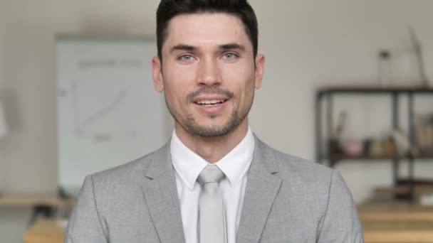Sonriente hombre de negocios guapo en la oficina
 - Imágenes, Vídeo