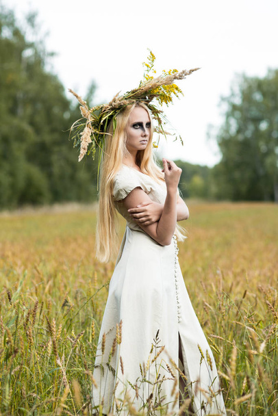 Slavic girl in the field - Foto, Imagem