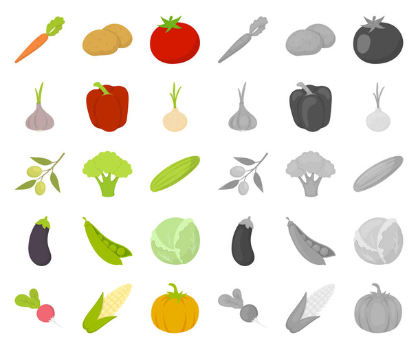 Diferentes tipos de desenhos animados vegetais, ícones mono na coleção de conjuntos para design. Vegetais e vitaminas símbolo vetorial web ilustração
. - Vetor, Imagem