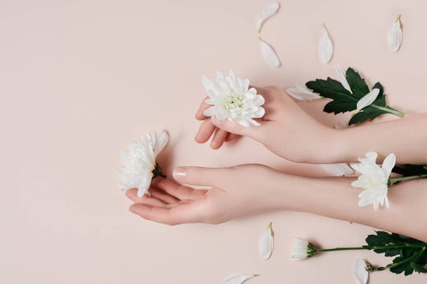 Творческое изображение красивые ухоженные руки женщины с белыми цветами с копировальным пространством на розовом фоне в минималистском стиле. Концепция шаблона женский блог, социальные медиа, концепция красоты
 - Фото, изображение
