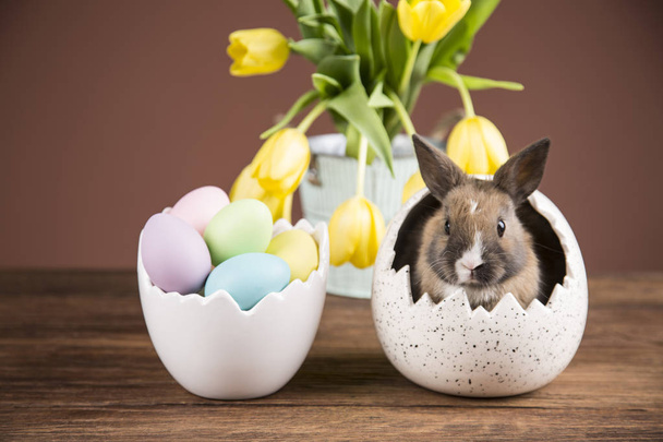 Wielkanoc królik w skorupkach jaj. Żółte tulipany. - Zdjęcie, obraz