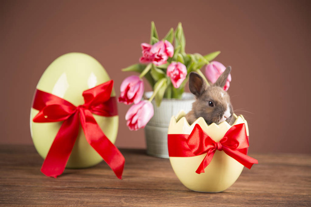 Easter rabbit in eggshell. Colorful tulips. Red bow. - Photo, image