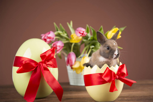 Conejo de Pascua con cáscara de huevo. Tulipanes coloridos. Arco rojo
. - Foto, Imagen