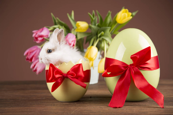 Easter rabbit in eggshell. Colorful tulips. Red bow. - Фото, зображення