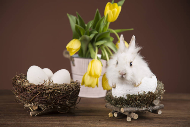 Easter rabbit in a wilkin basket. Spring flowers. - Foto, imagen